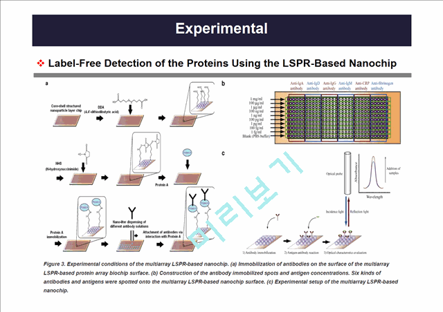나노소재설계-Nanoparticle Layer Nanochip (LSPR)   (5 )
